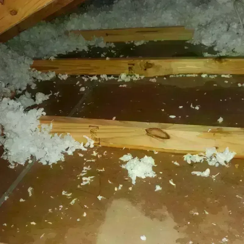 Attic Water Damage in Crete, NE